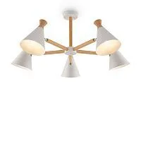 Потолочная люстра Freya Rise FR5169PL-05W 