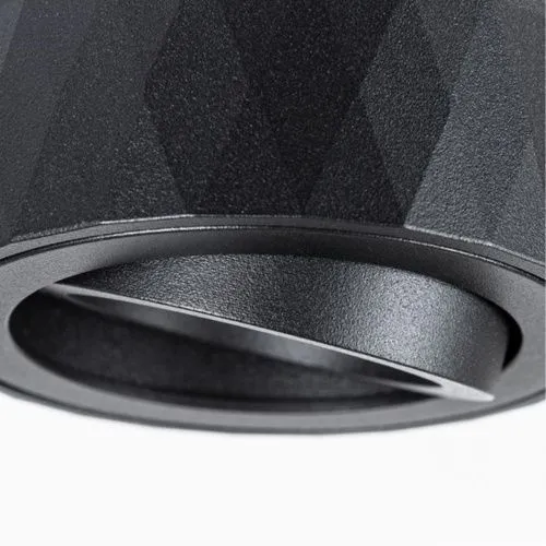 Потолочный светильник Arte Lamp Fang A5559PL-1BK  фото 3