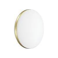 Настенно-потолочный светодиодный светильник Sonex Ringo 7626/CL 