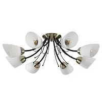 Потолочная люстра Lumion Comfi Eliana 4592/8C 