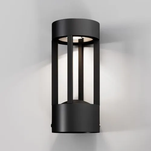 Настенный светильник (бра) Outdoor O458WL-L9GF3K  фото 3