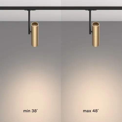 Трековый светильник Maytoni Track Lamps TR005-1-GU10-BG  фото 4