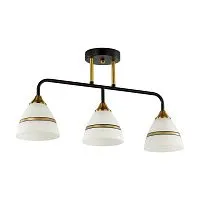 Потолочная люстра Lumion Comfi Nettie 5214/3CA 