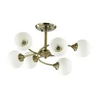 Потолочная люстра Lumion Daniella Comfi 4537/6C 