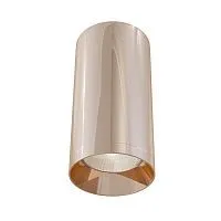 Потолочный светильник Technical C010CL-01RG 