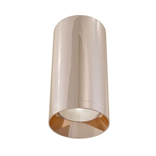 Потолочный светильник Technical C010CL-01RG 