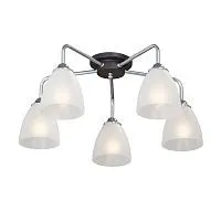 Потолочная люстра Vitaluce V4952-9/5PL 