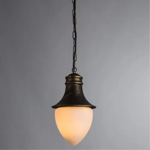 Уличный подвесной светильник Arte Lamp Vienna A1317SO-1BN  фото 2